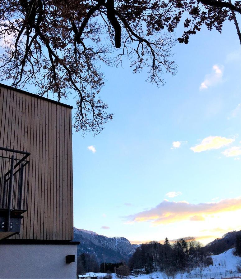 Kampenzeit Loft Mit Traumhaftem Panoramablick Apartment