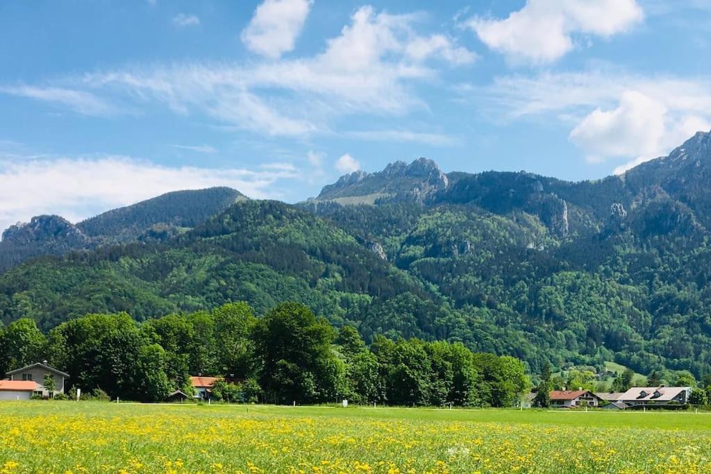 Kampenzeit Loft Mit Traumhaftem Panoramablick *